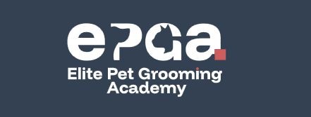 Escuela de formación para peluqueros caninos